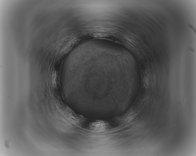 X0000100400219200806201743