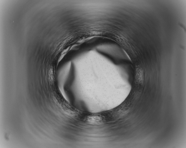 X0000100400220200806201743