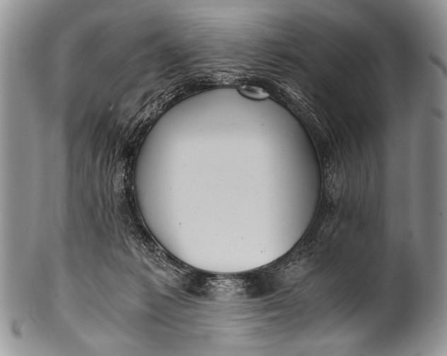 X0000100400221200806201743