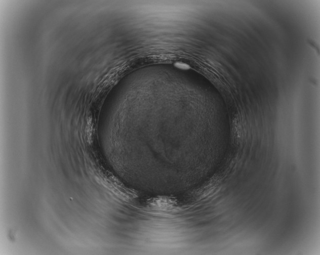 X0000100400223200806201743