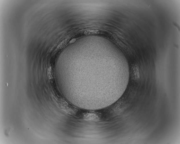 X0000100400224200806201743