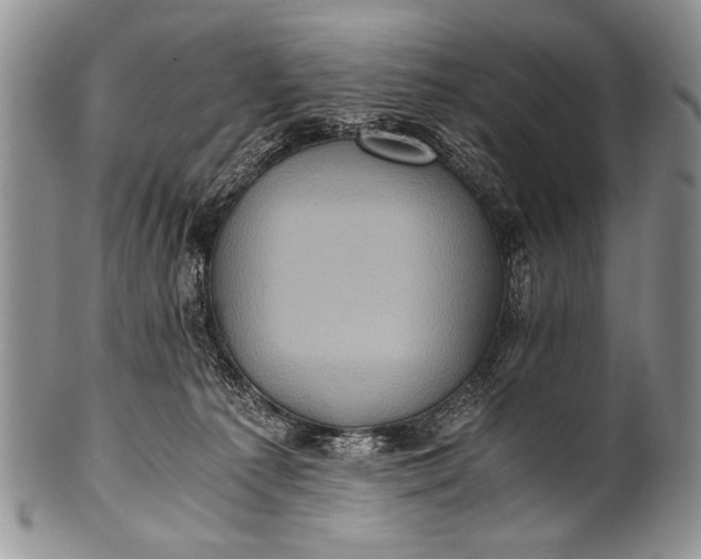 X0000100400225200806201743