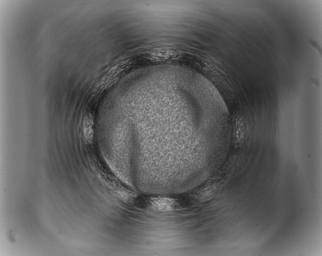 X0000100400226200806201743