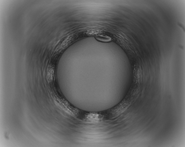 X0000100400227200806201743