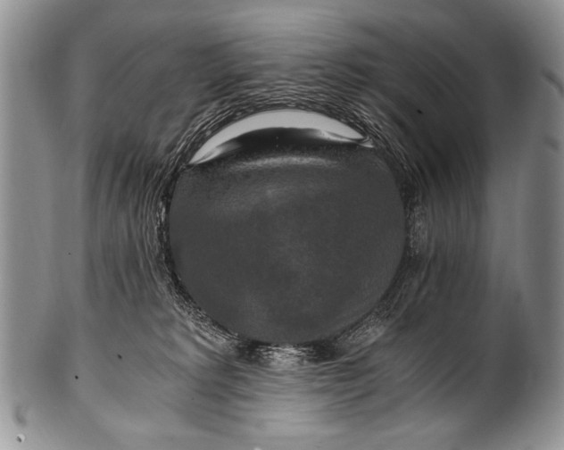 X0000100400229200806201743