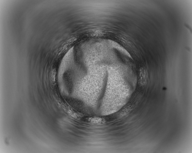 X0000100400230200806201743