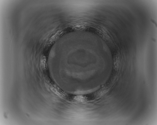 X0000100400231200806201743