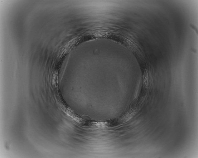 X0000100400233200806201743