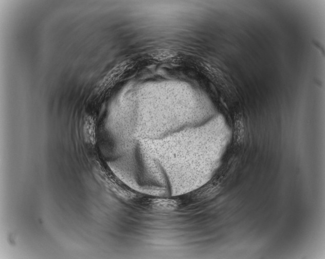 X0000100400234200806201743