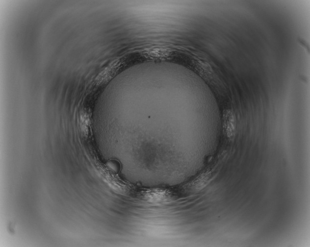 X0000100400235200806201743