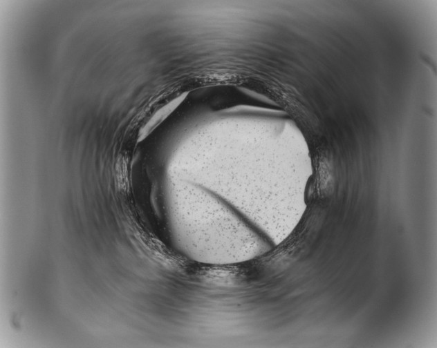 X0000100400236200806201743