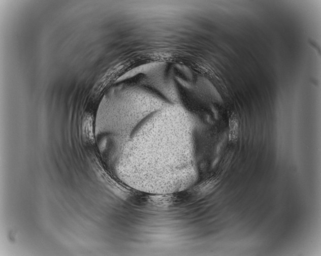 X0000100400238200806201743