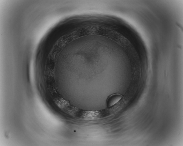 X0000100400239200806201743