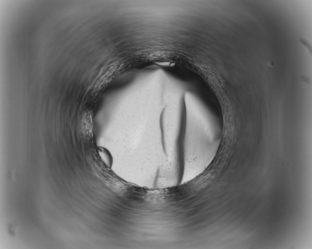 X0000100400240200806201743