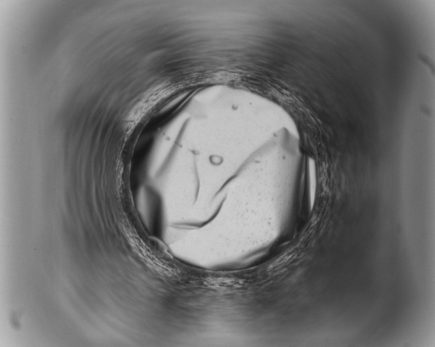X0000100400242200806201742