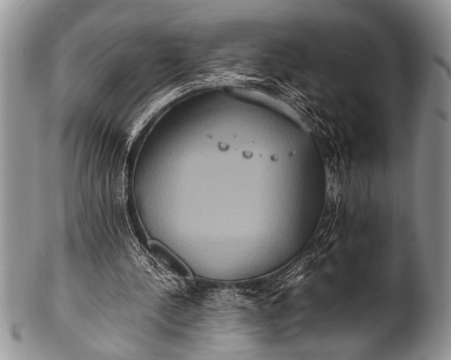 X0000100400244200806201742