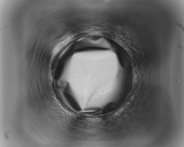 X0000100400245200806201742