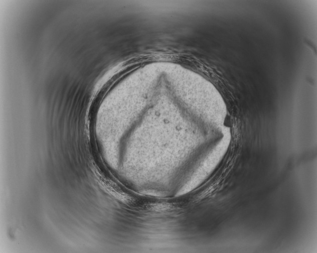 X0000100400246200806201742
