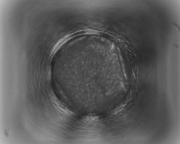 X0000100400247200806201742