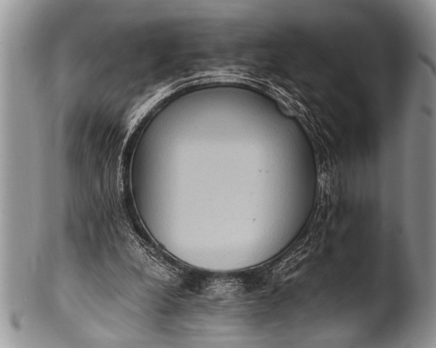 X0000100400248200806201742