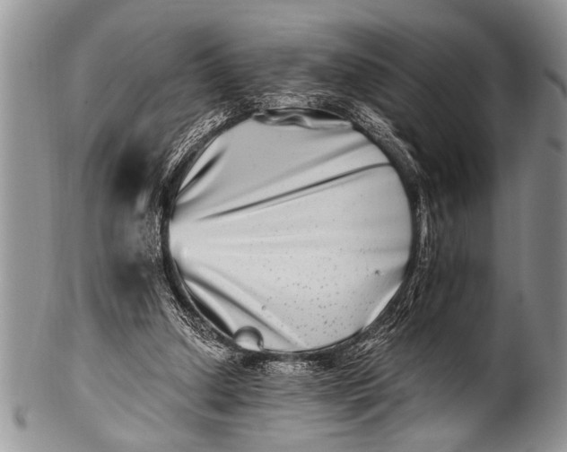X0000100400250200806201742
