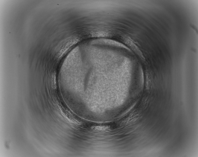 X0000100400251200806201742