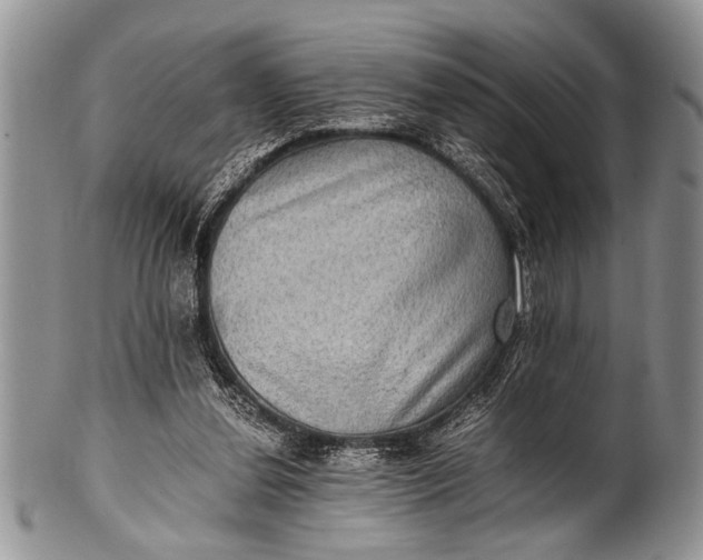 X0000100400252200806201742