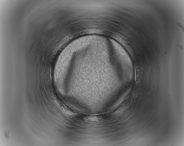 X0000100400253200806201742