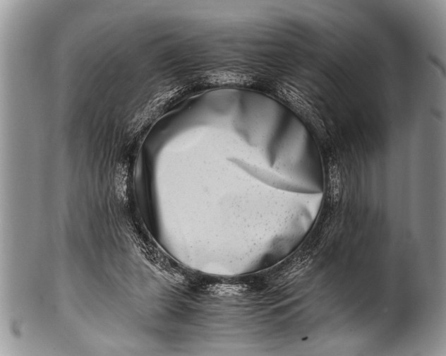 X0000100400255200806201742