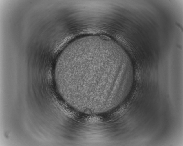 X0000100400256200806201742