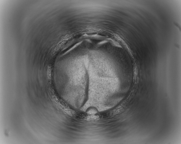 X0000100400257200806201742