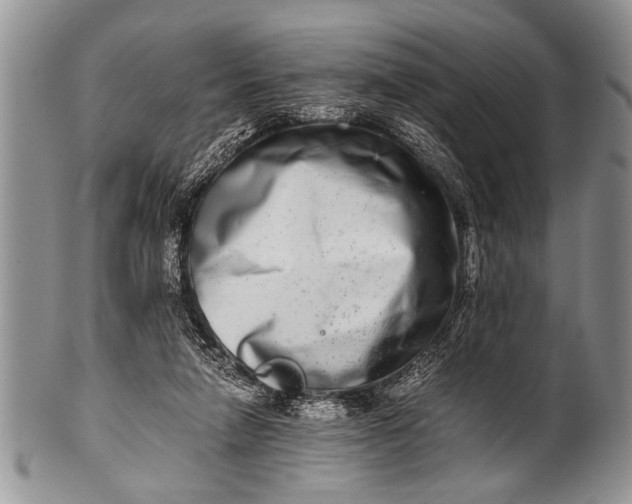 X0000100400258200806201742