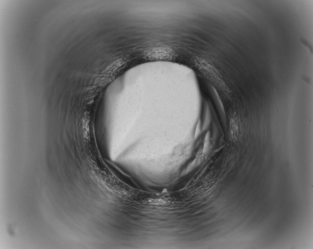 X0000100400259200806201742