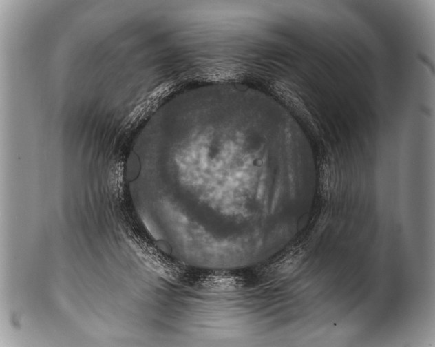X0000100400260200806201742