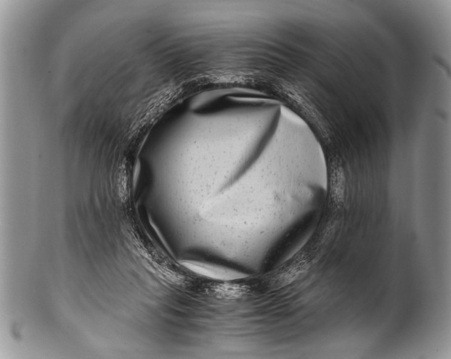 X0000100400261200806201742
