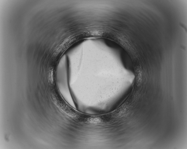 X0000100400262200806201742