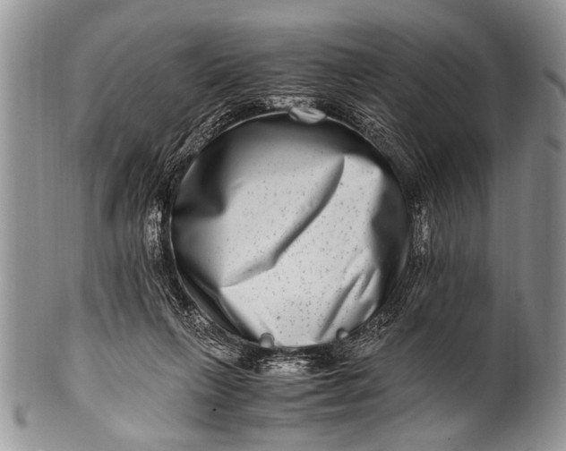 X0000100400263200806201742