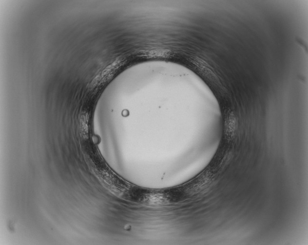 X0000100400264200806201742