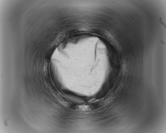 X0000100400265200806201742