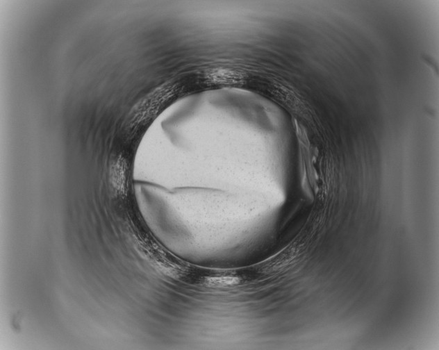 X0000100400266200806201742