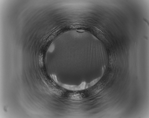 X0000100400267200806201742
