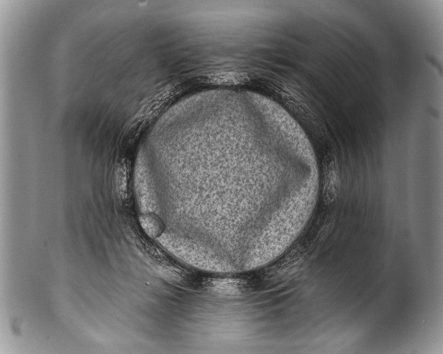 X0000100400268200806201742