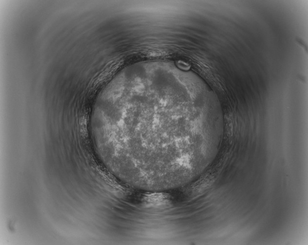 X0000100400269200806201743