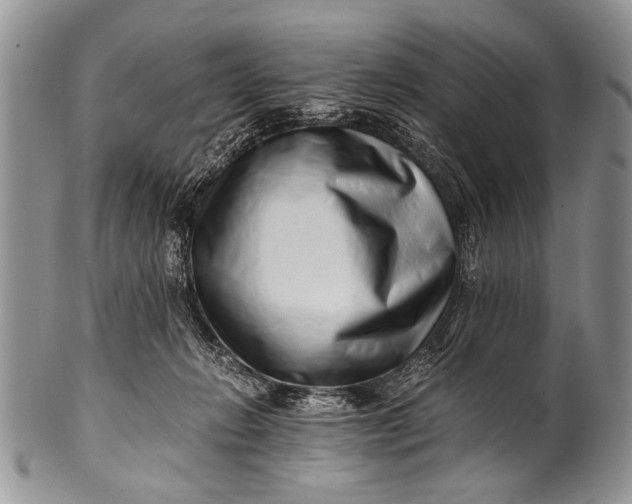 X0000100400270200806201743