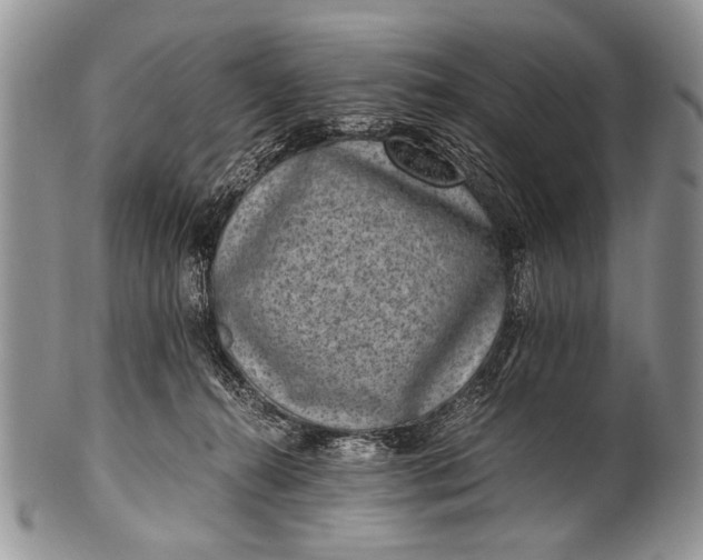 X0000100400272200806201743