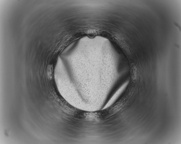 X0000100400273200806201743