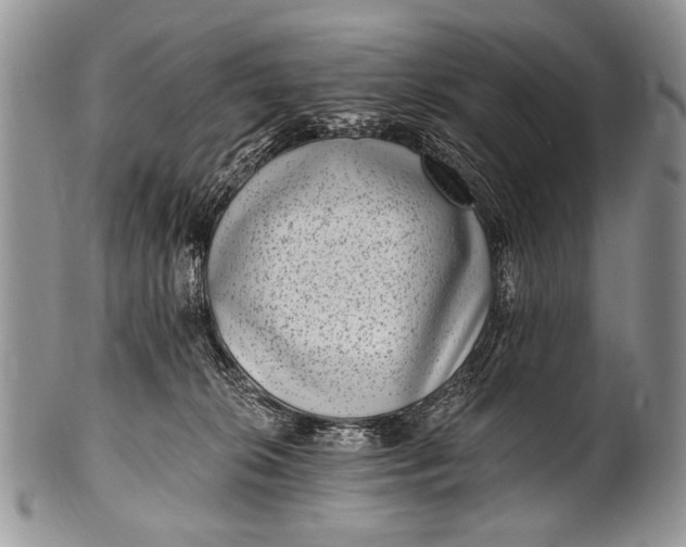 X0000100400276200806201743