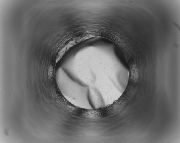 X0000100400278200806201743