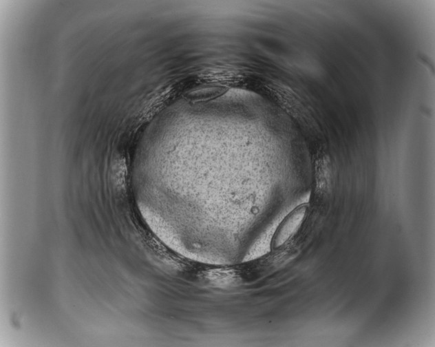 X0000100400279200806201743