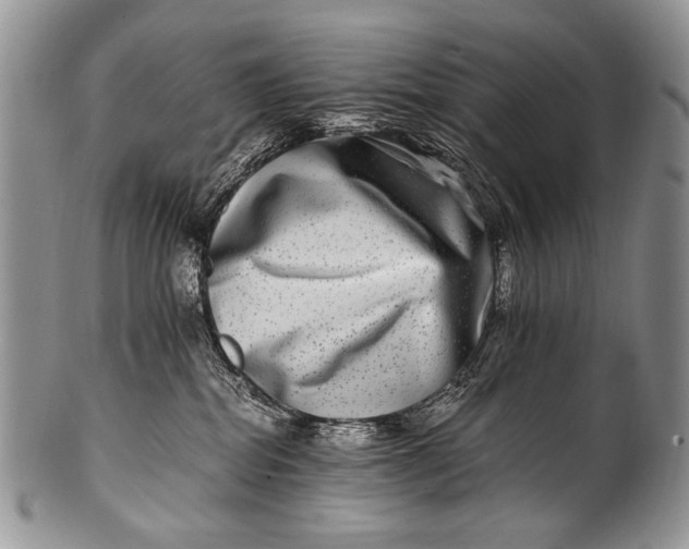 X0000100400282200806201743